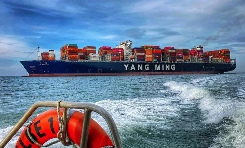 China-Japan Sea Freight Full Container high quality